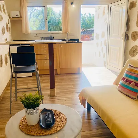 Apartment Olive